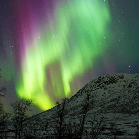 6 Person Holiday Home In Senjahopen Mefjordvær Eksteriør bilde